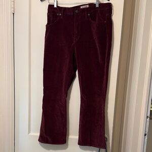 Madewell Burgundy Cotton Velvet Pants size 32 bootcut amazing pants worn once